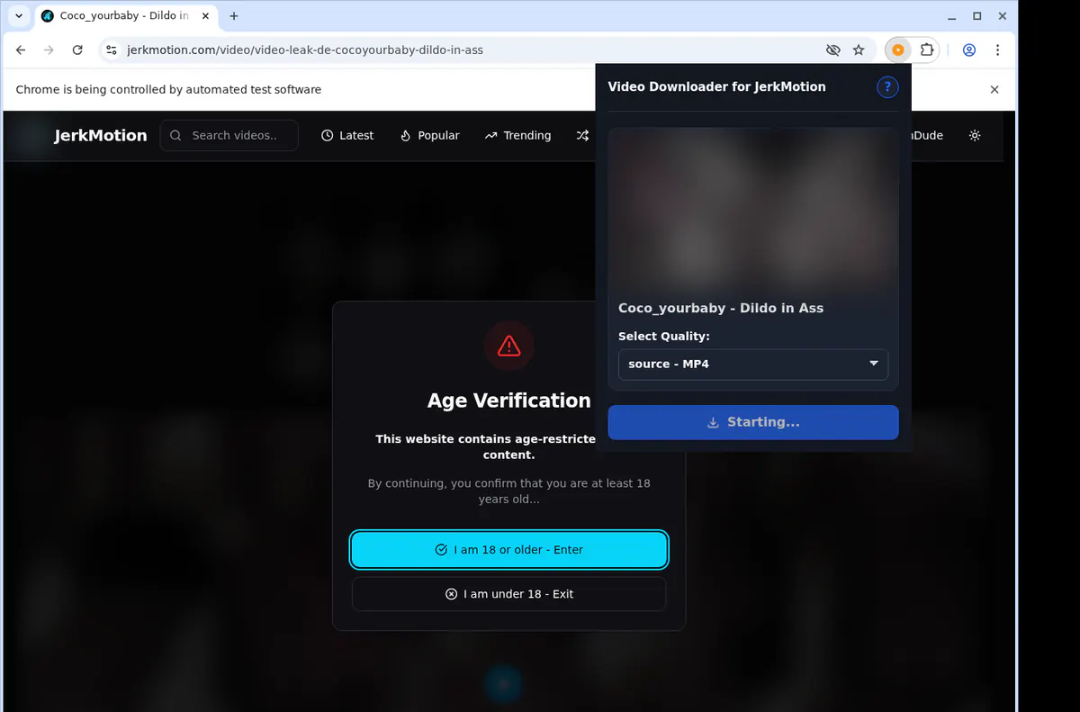 Jerkmotion Video Downloader browser extension screenshot 2