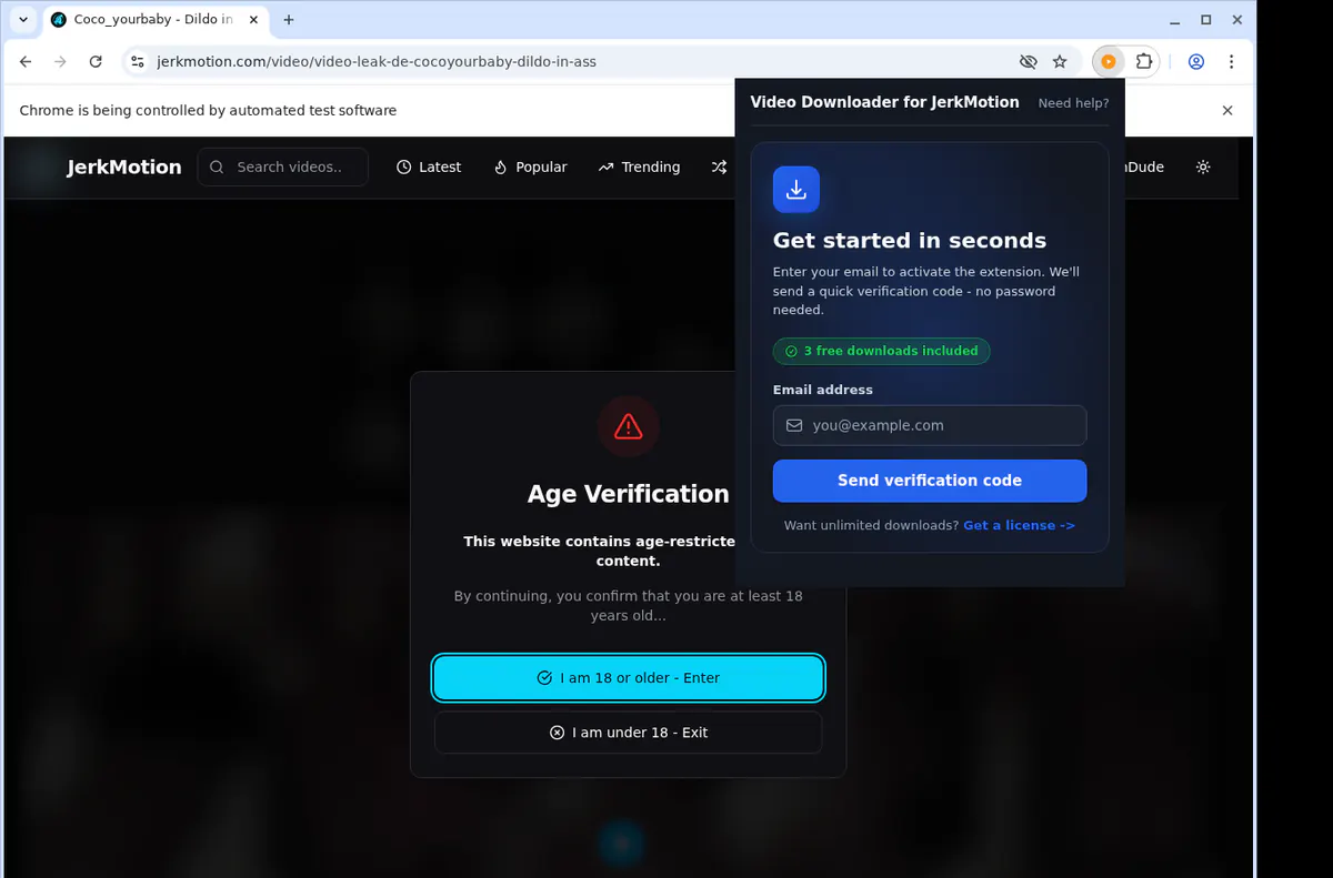 Jerkmotion Video Downloader browser extension screenshot 5